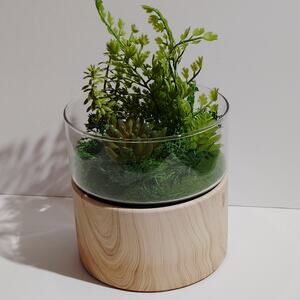 Threshold Round Wood Terrarium – 6" Diameter – Modern Decorative Display